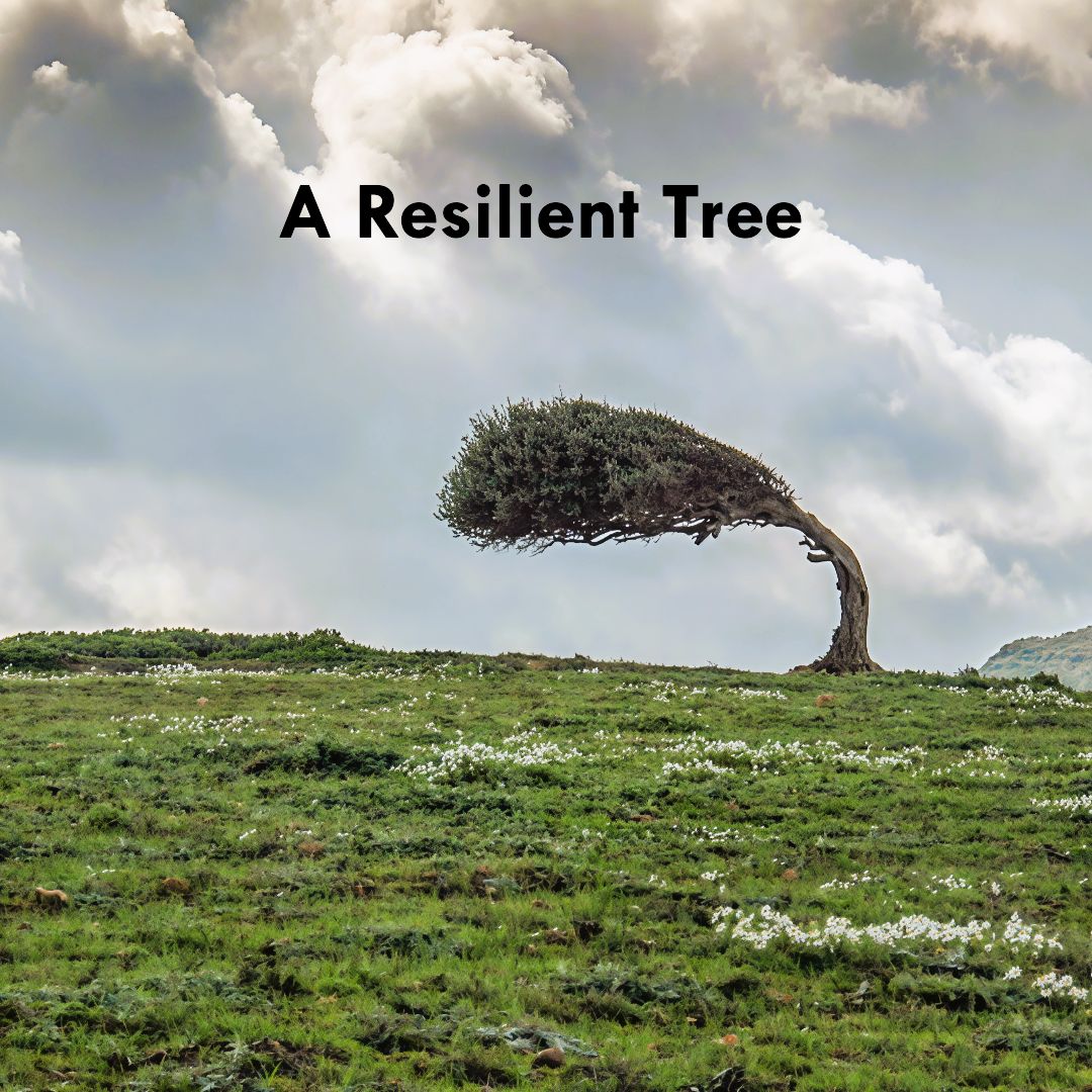 A Resilient Tree